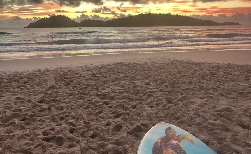 SUP até a Ilha do Campeche, nascer do sol e óculos para Iemanjá